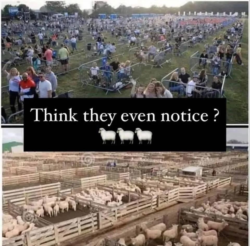 Did they even notice-photo_2020-08-22_14-04-33.jpg