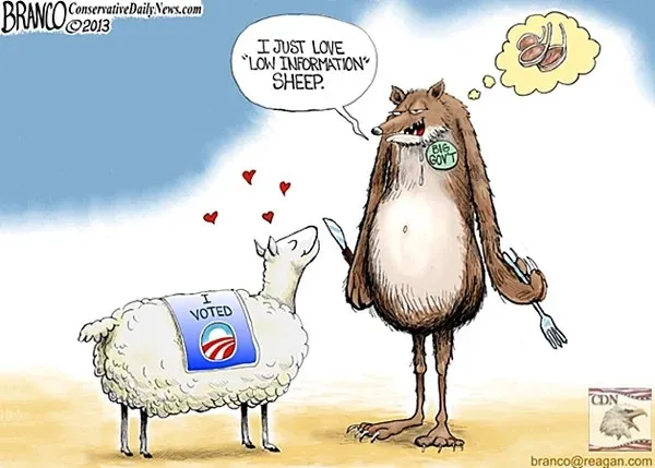 Low info-toon062413copy.jpg