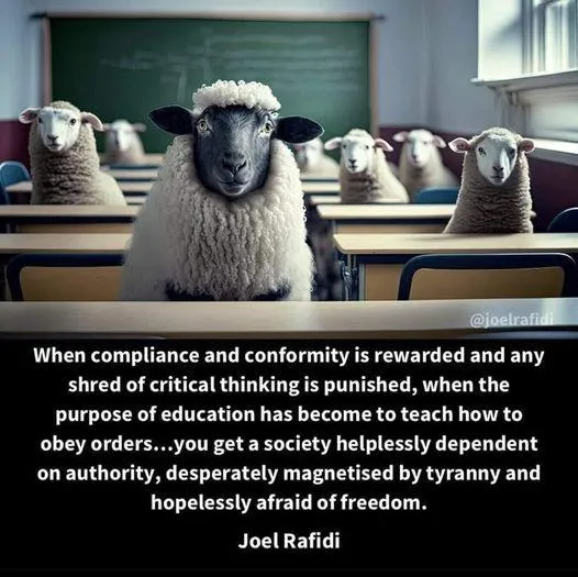 Sheeple-zhafgE0.jpg
