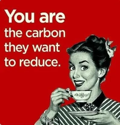 Carbon to reduce-ODZTnya.jpg