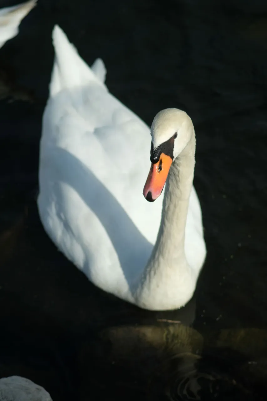 DSCF2633.JPG