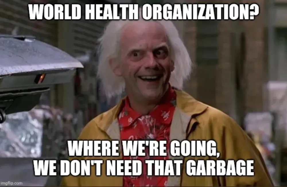WHO garbage-ca6a421d-4d93-4f72-8a0a-4b7450ded8b0_1000x652.jpg