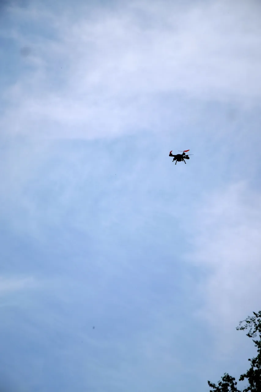 DSCF6166-dron.JPG