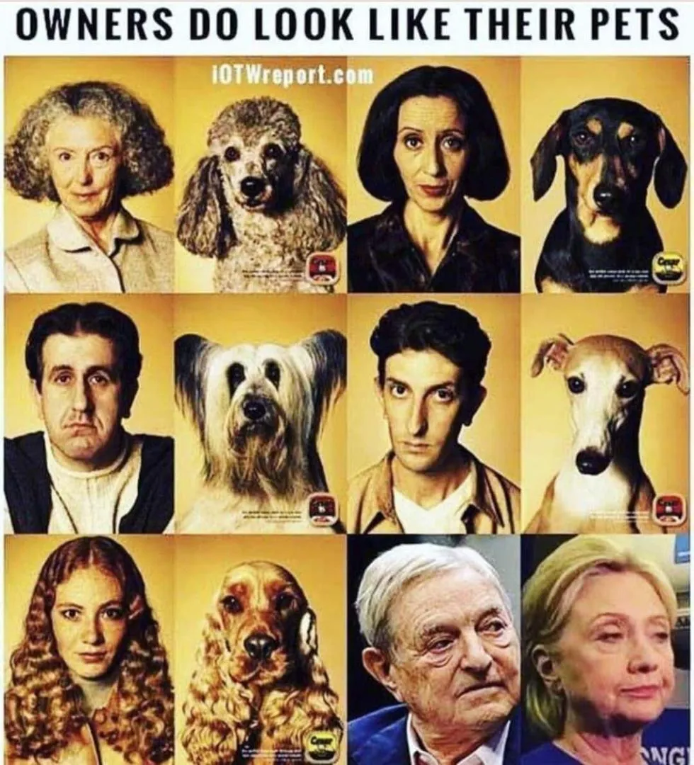 Pets-cGHpOfy.jpg