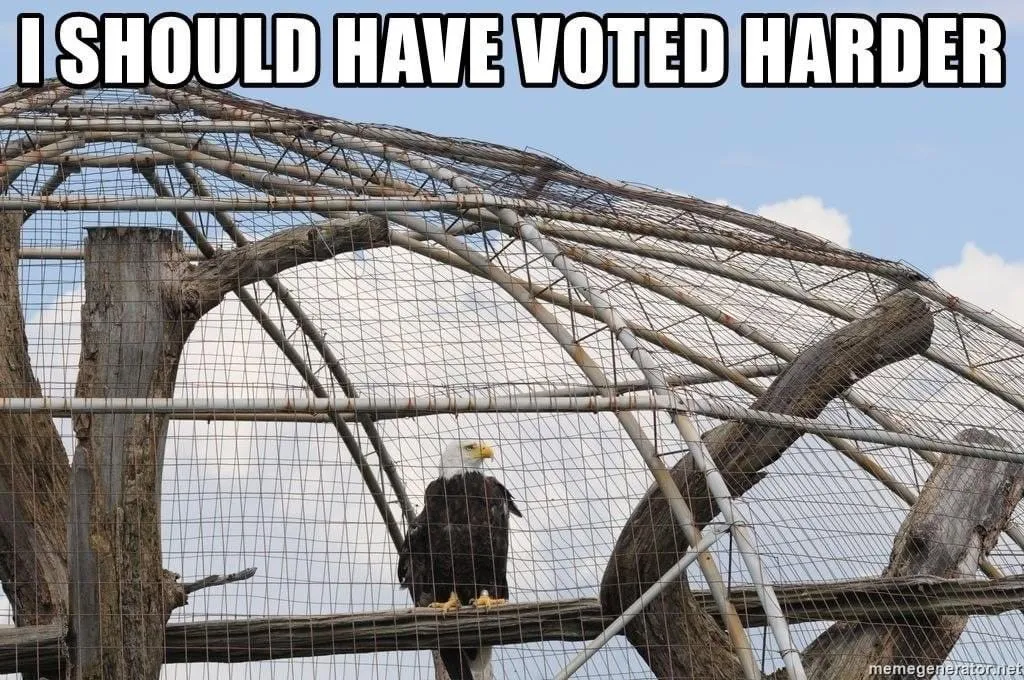 Voting harder-d7ee877f-a4b5-4a42-b489-9468cb0017ec_1024x680.jpg