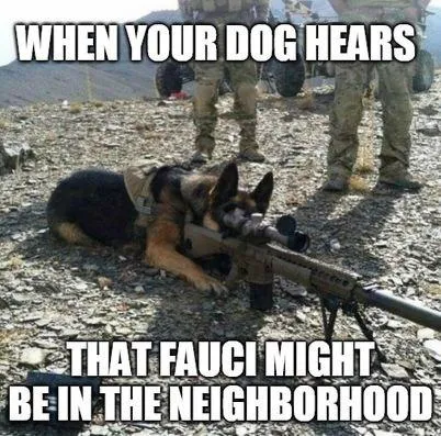 Sniper Dog-ZnMybW7.jpg