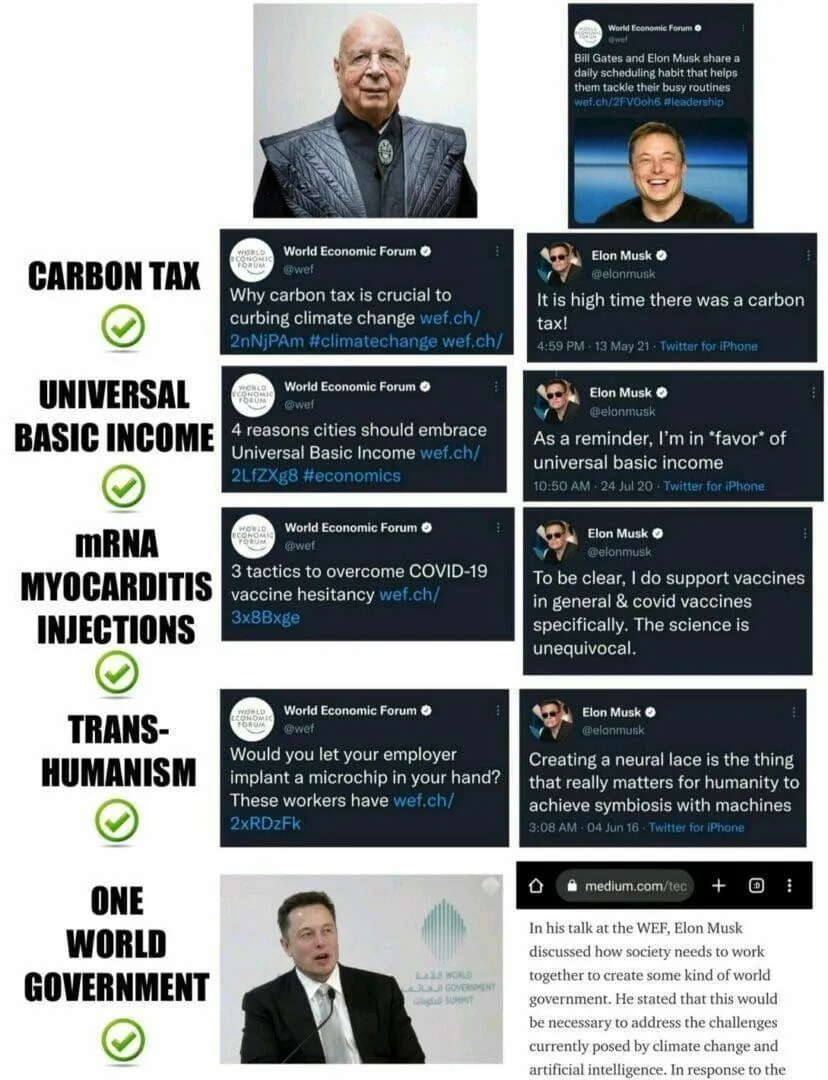 Musk-fNVX6ya.jpg