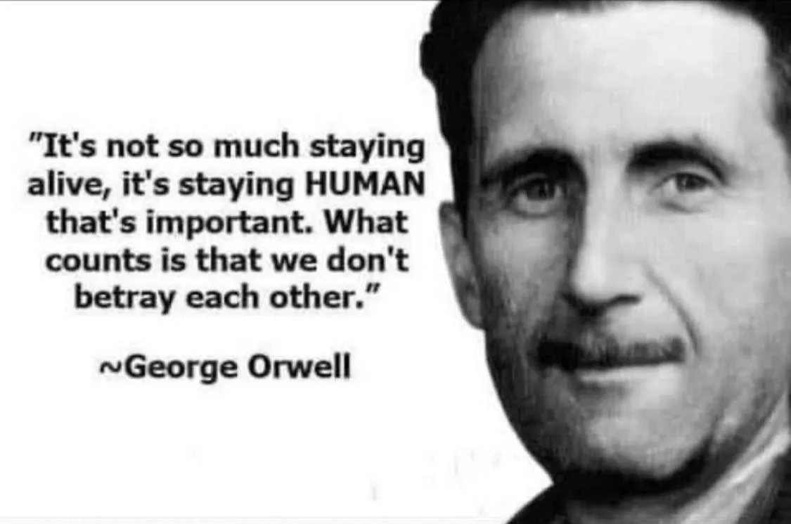 Orwell-mJvxUTw.jpg