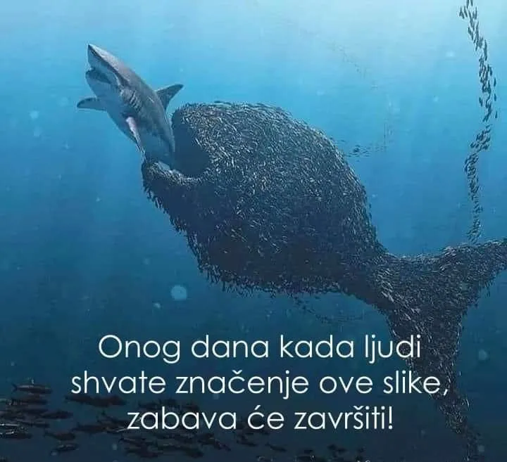 Znacenje_2022-05-03_11-59-31.jpg
