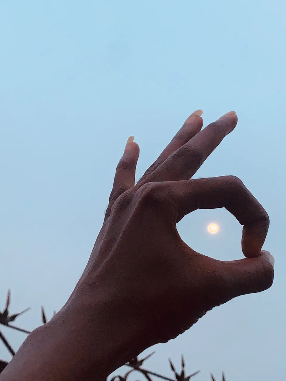 41422F5F-C33E-4A92-832F-01408D5F8713.jpeg