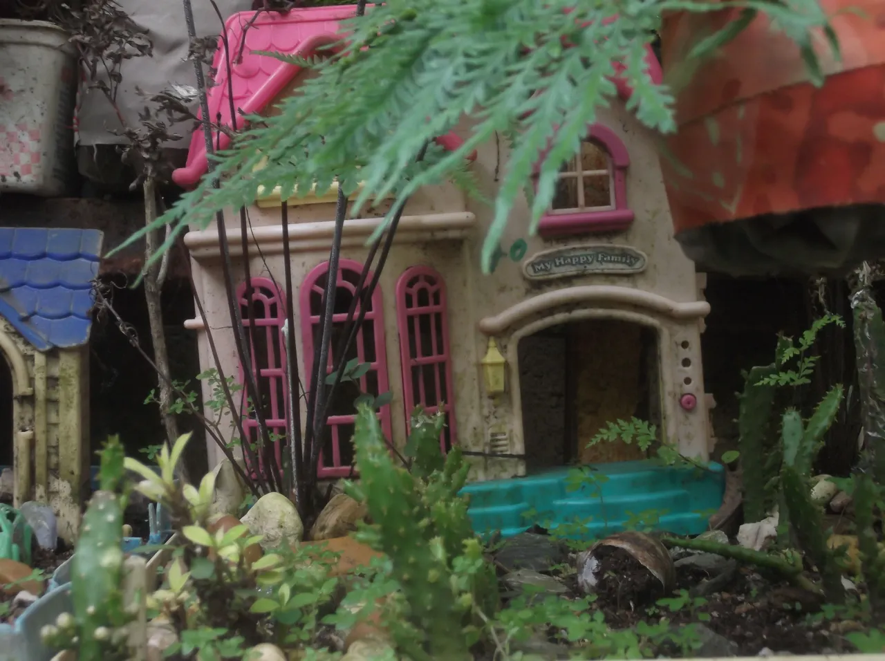 DSCF8860.JPG