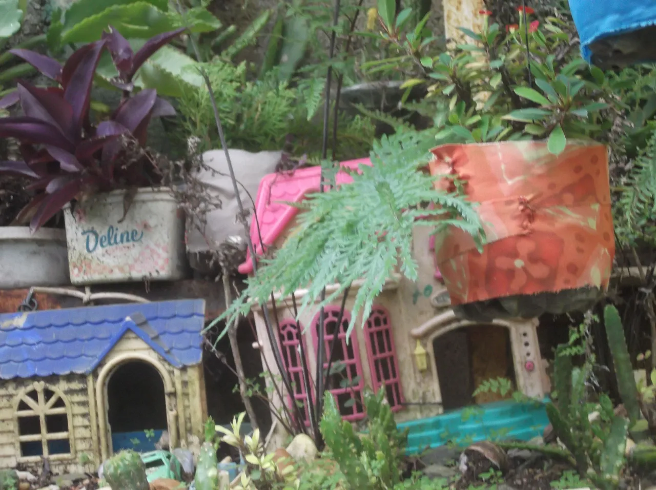 DSCF8859.JPG
