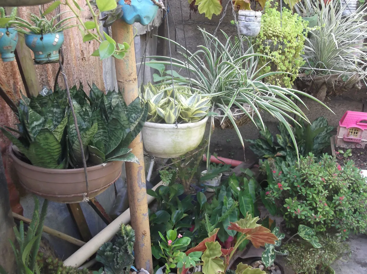 DSCF8843.JPG