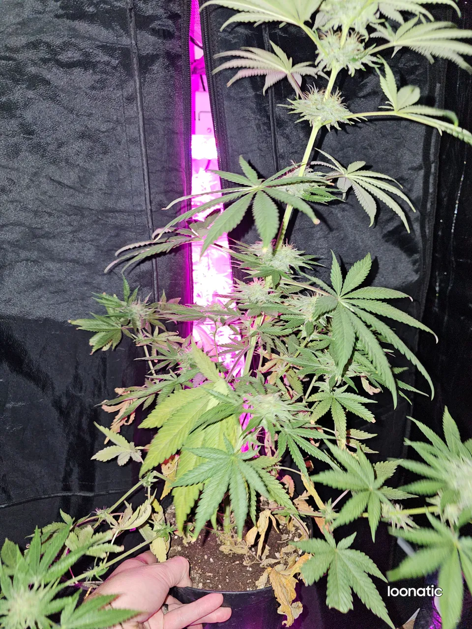20230915_134932.jpg