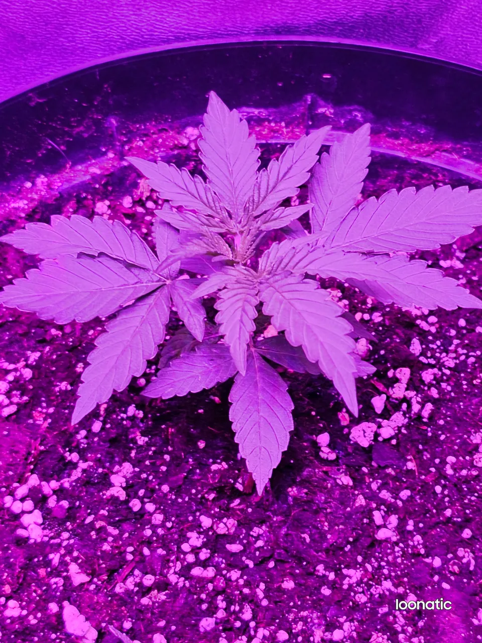20230630_232209.jpg