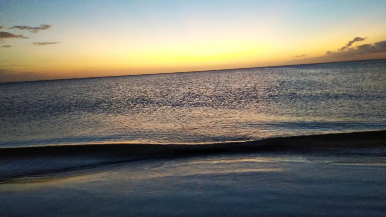 IMG_20220302_232830.jpg