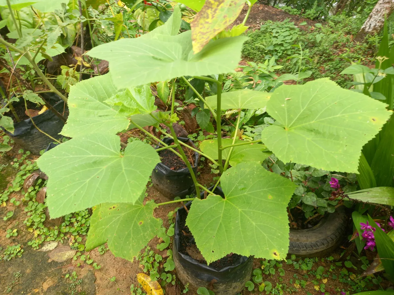 20230928_142558.jpg