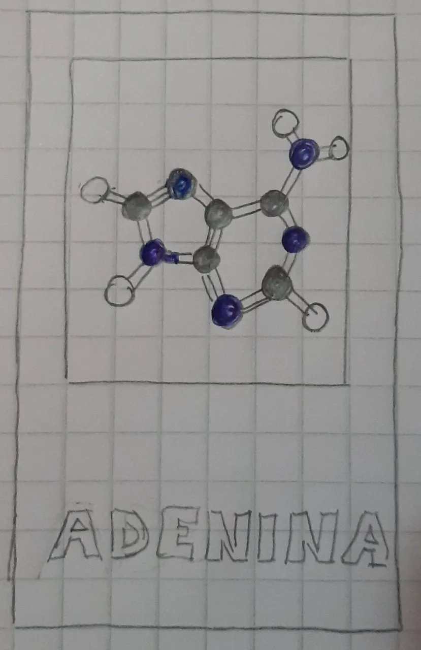 cartabetaa.jpg