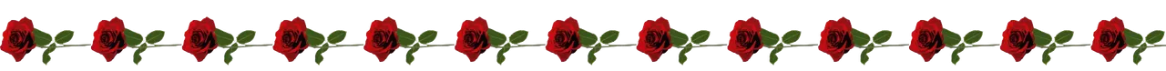 rosa-removebg-preview.png
