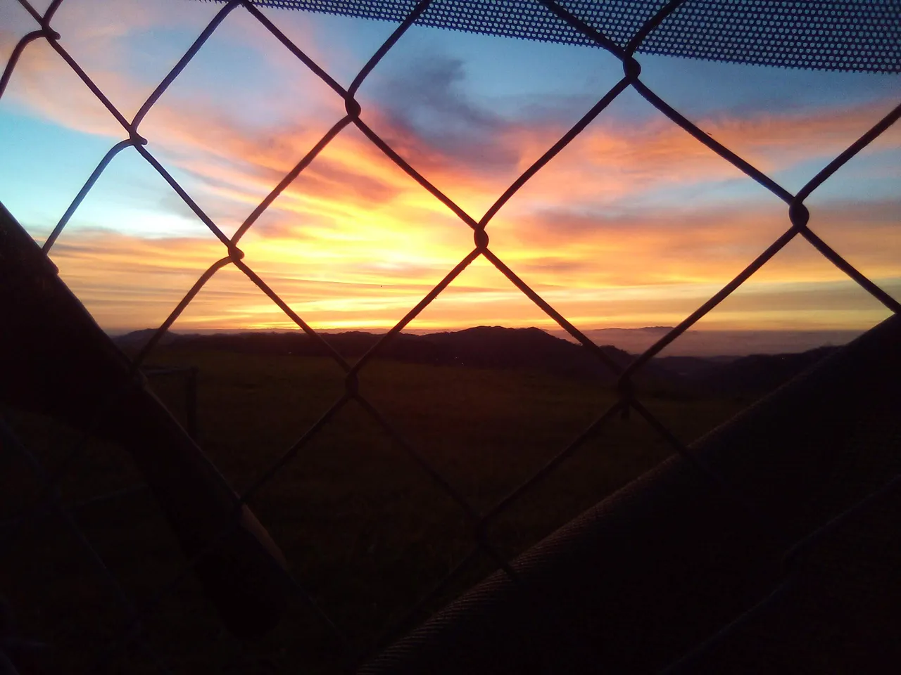 IMG_1105.jpeg