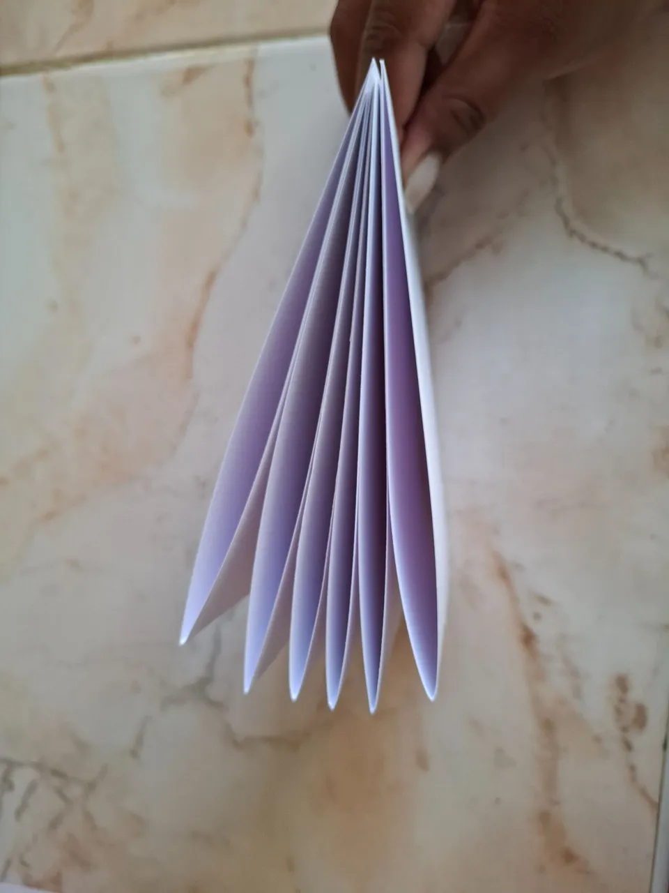 1000593676.jpg