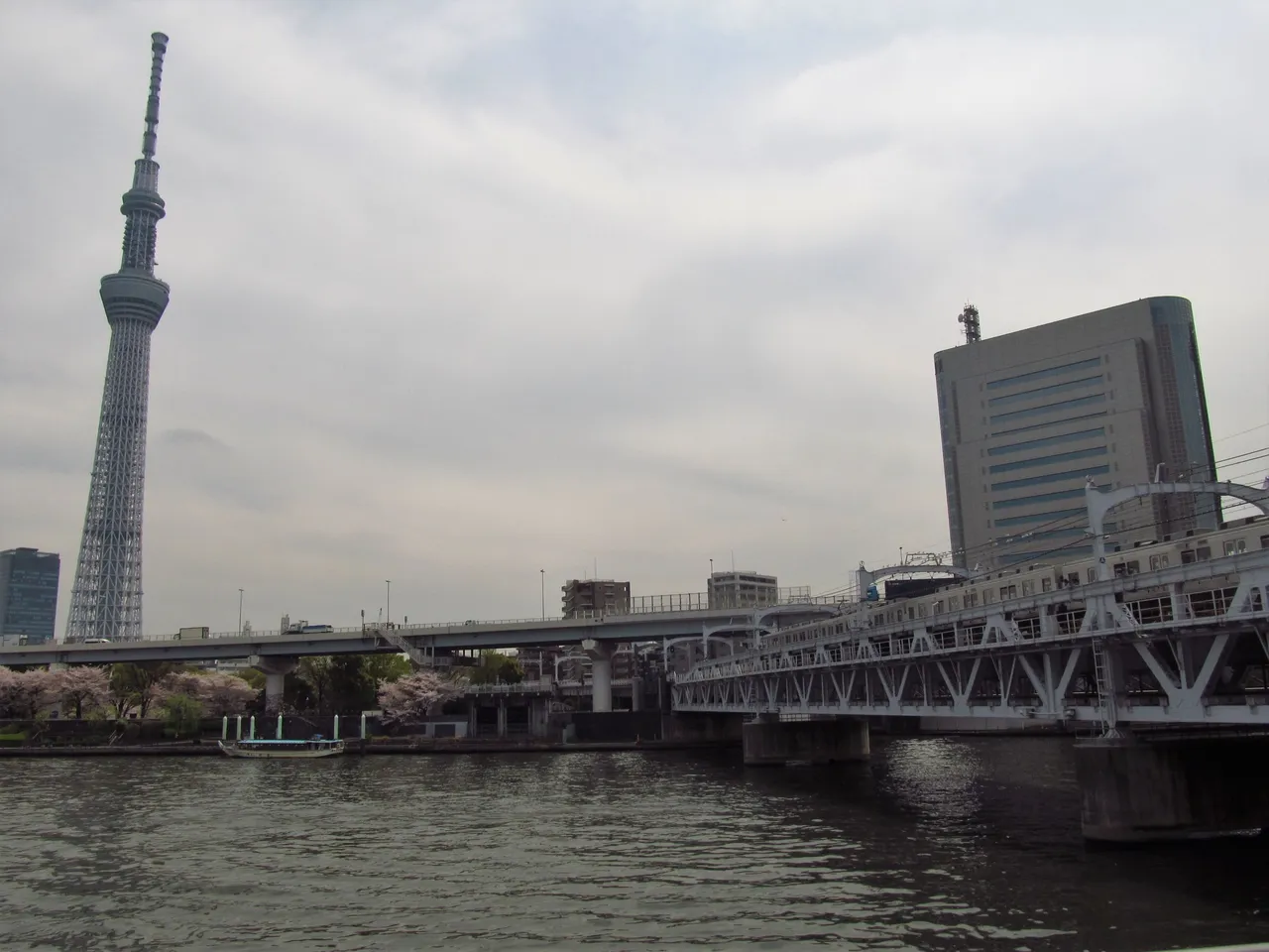 IMG_1016.JPG