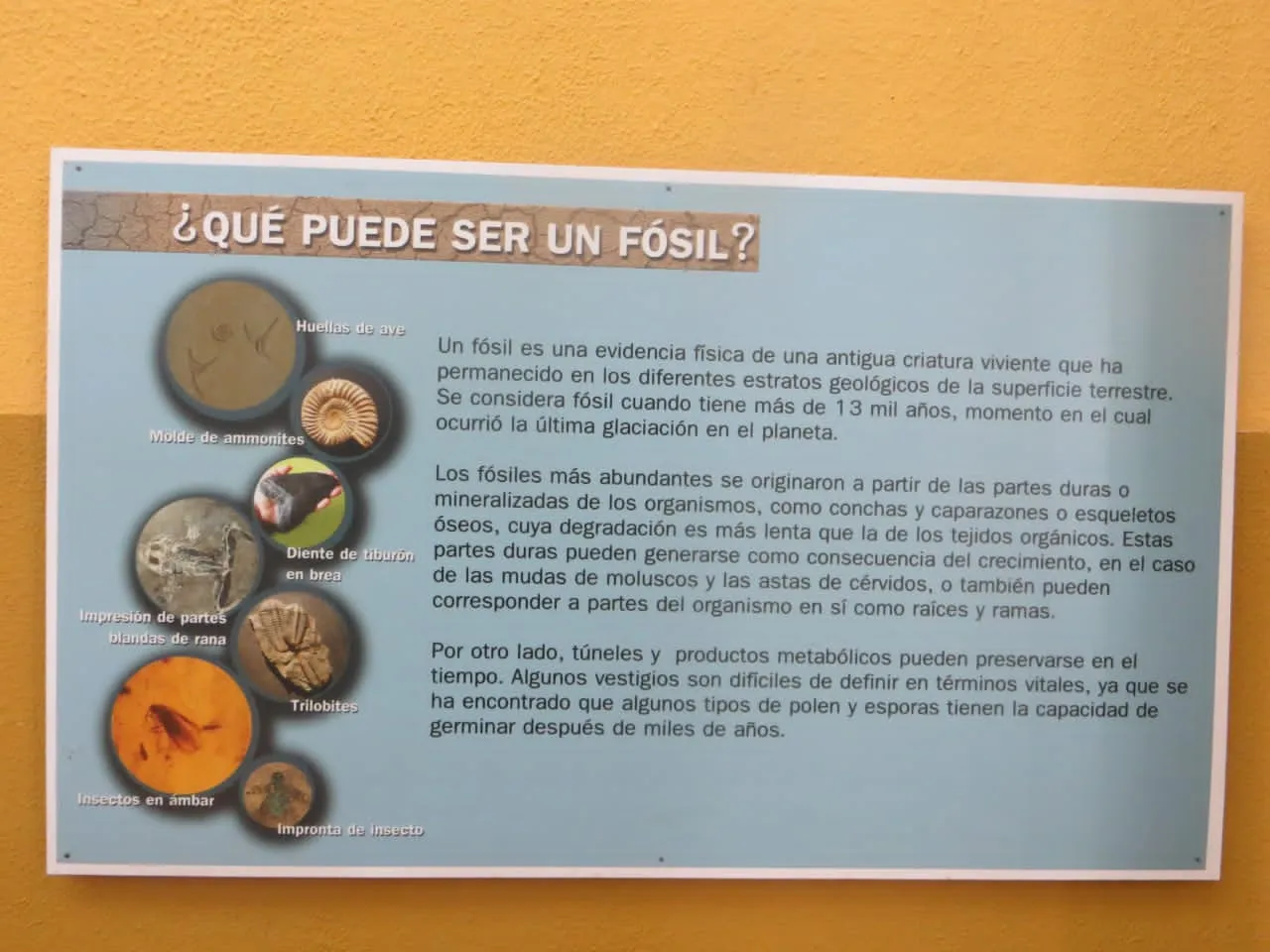 IMG-20230517-WA0116.jpg