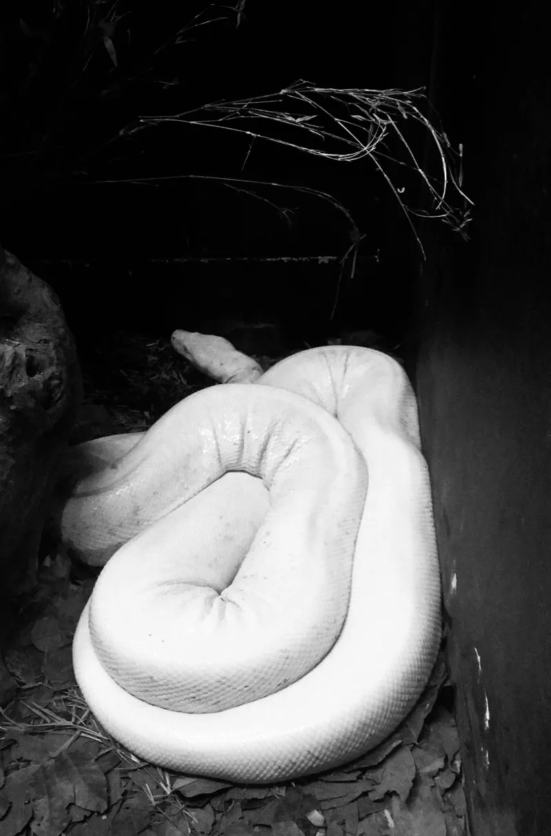 86F5D076-FA20-4700-9FD2-E9DC9FC0526B.jpeg