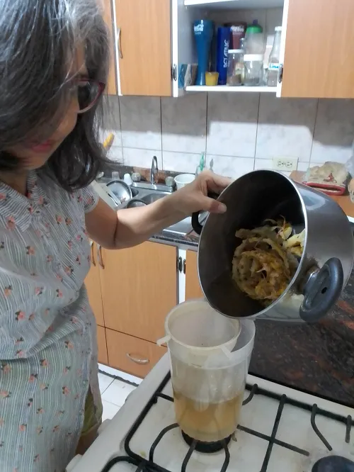aguadepiña9.png