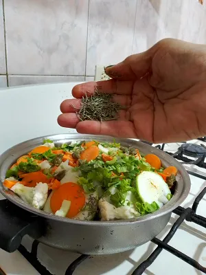 pollo9.png