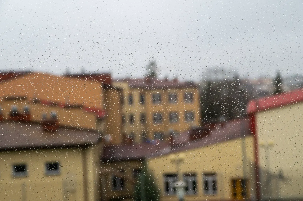 IMGP0328c.jpg