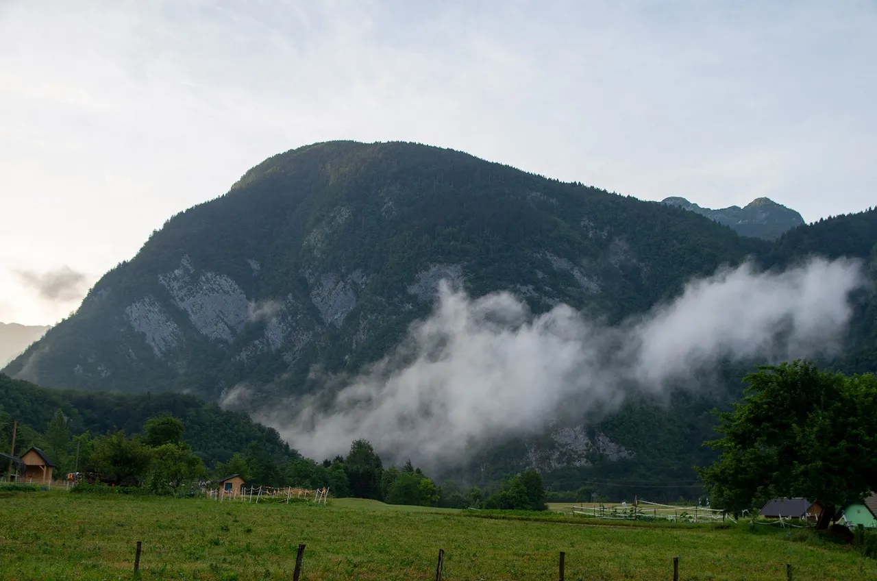 IMGP2871c.jpg