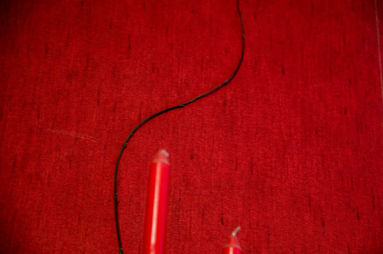 IMGP9077c.jpg