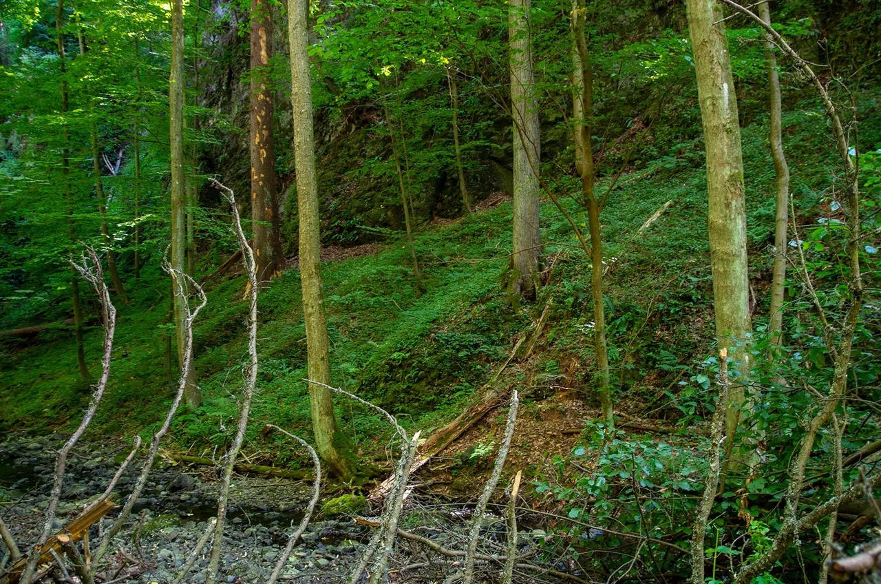 IMGP3587c.jpg