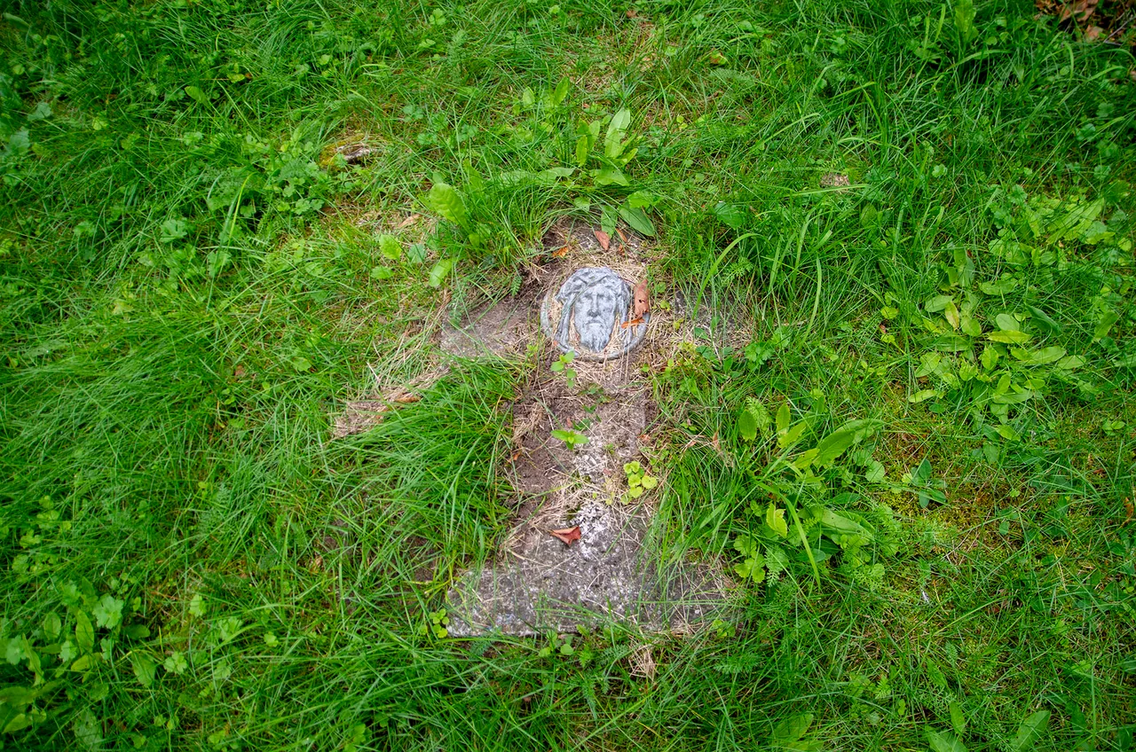 IMGP9295c.jpg