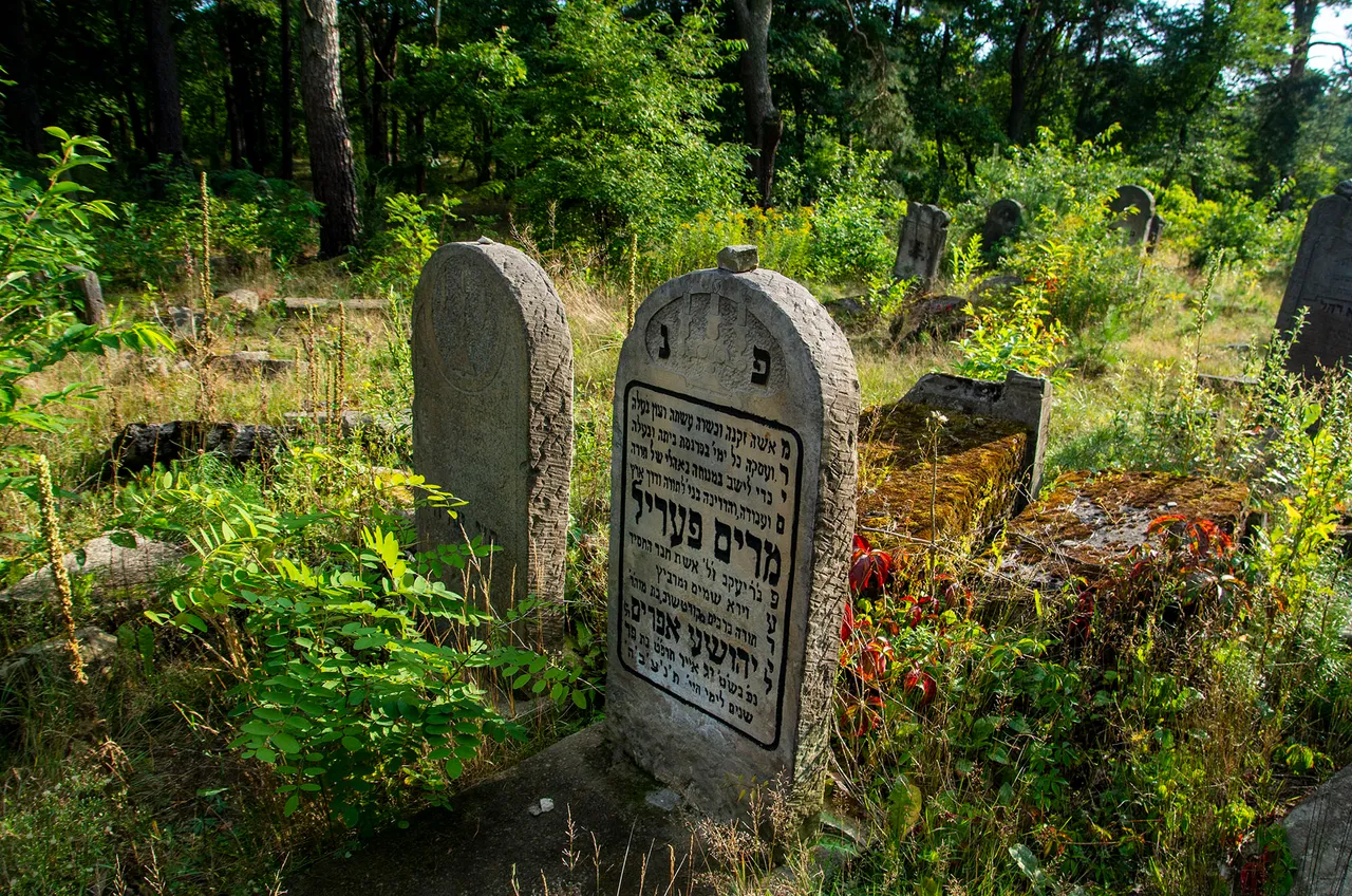 IMGP9205c.jpg