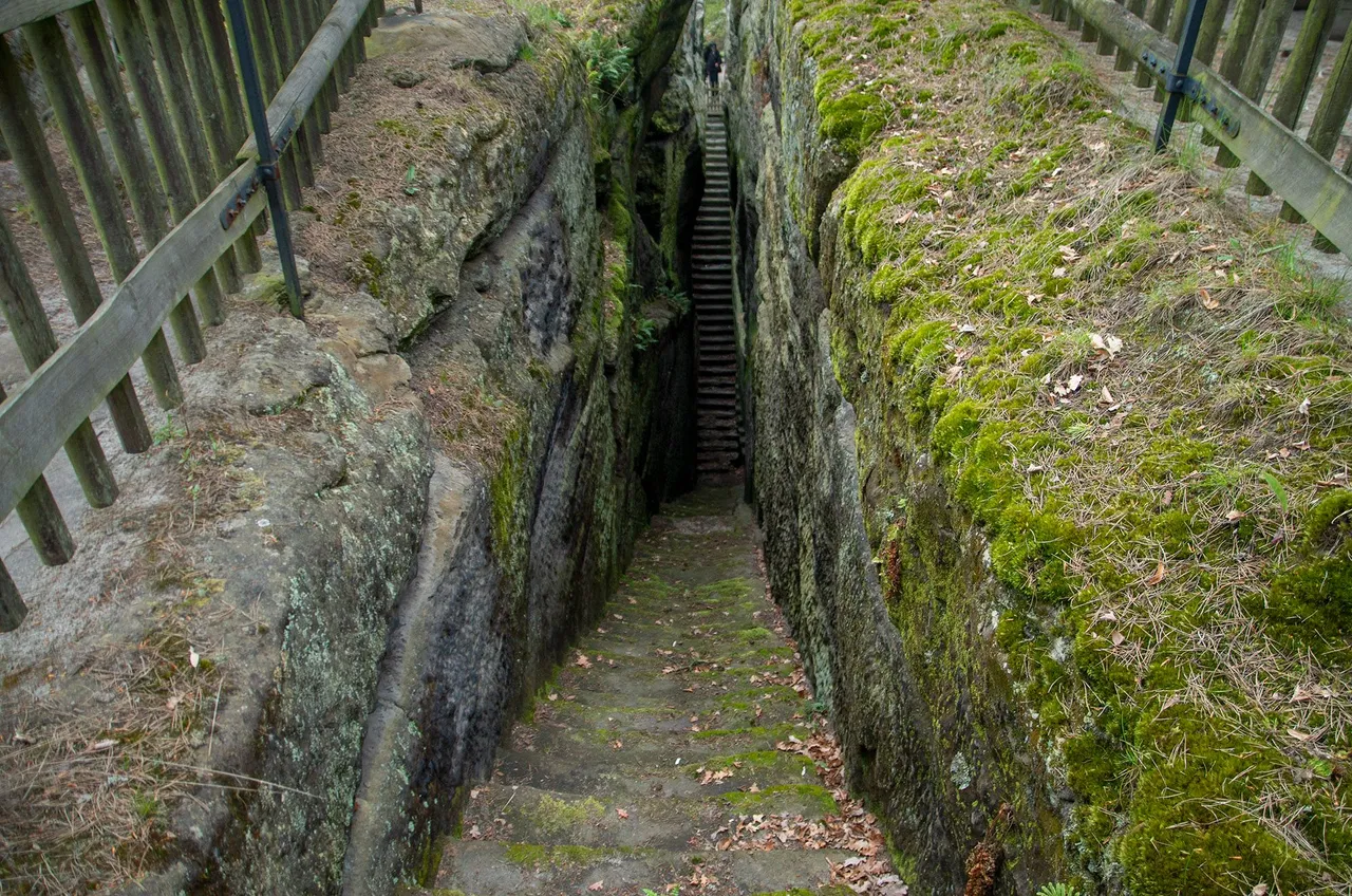 IMGP6129c.jpg
