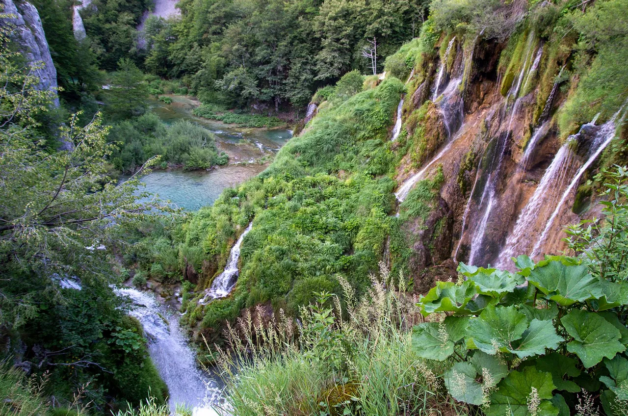 IMGP3376c.jpg