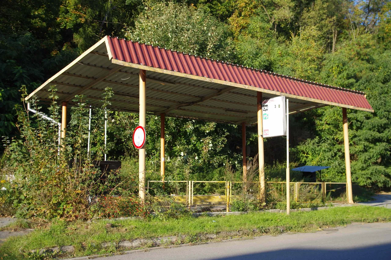 IMGP9618.JPG