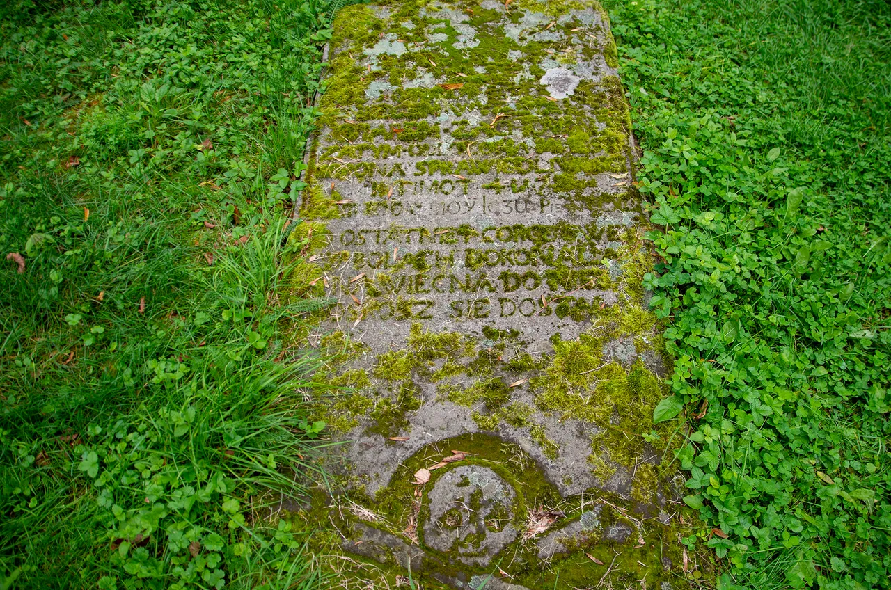 IMGP9294c.jpg