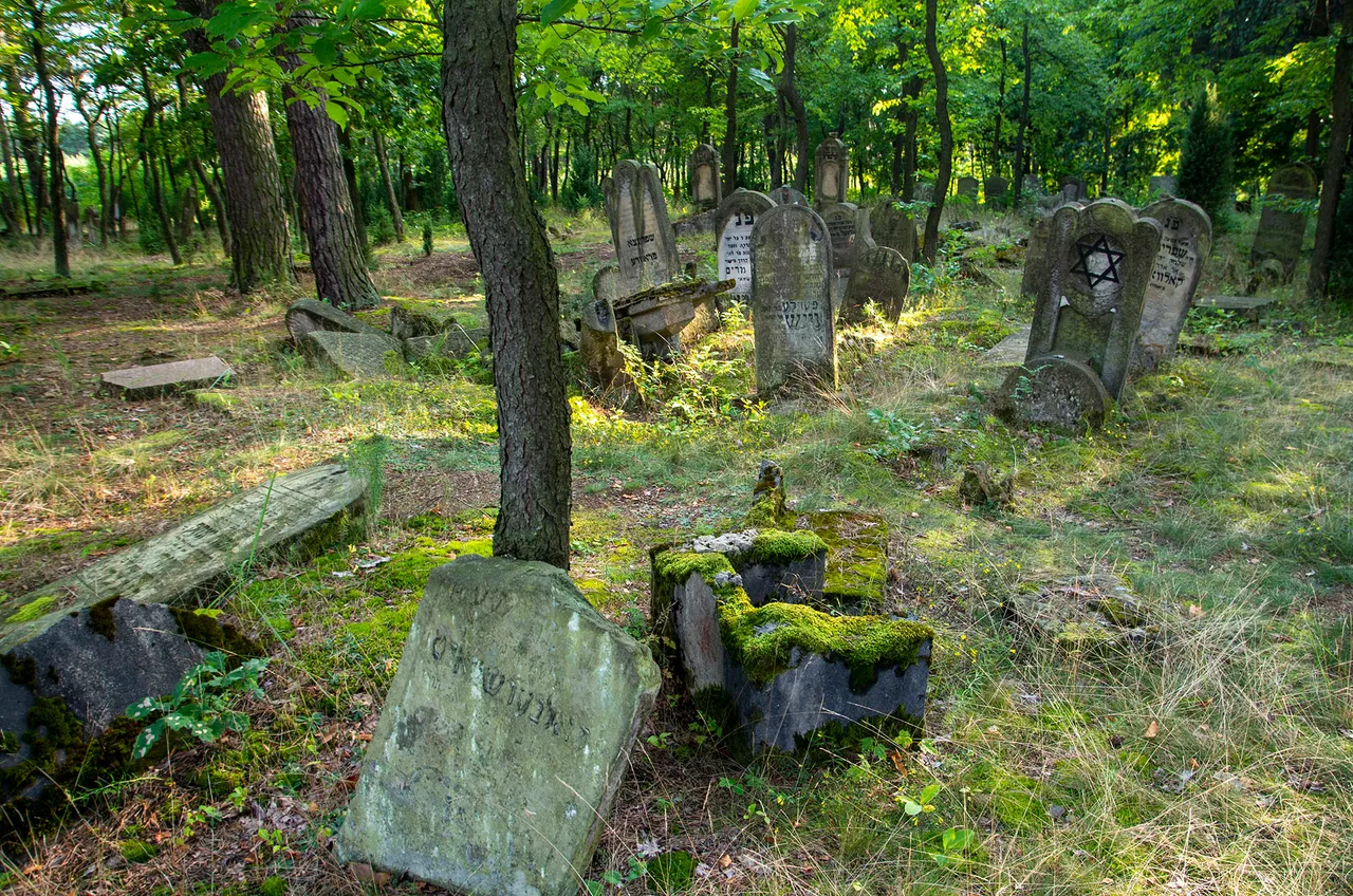IMGP9213c.jpg