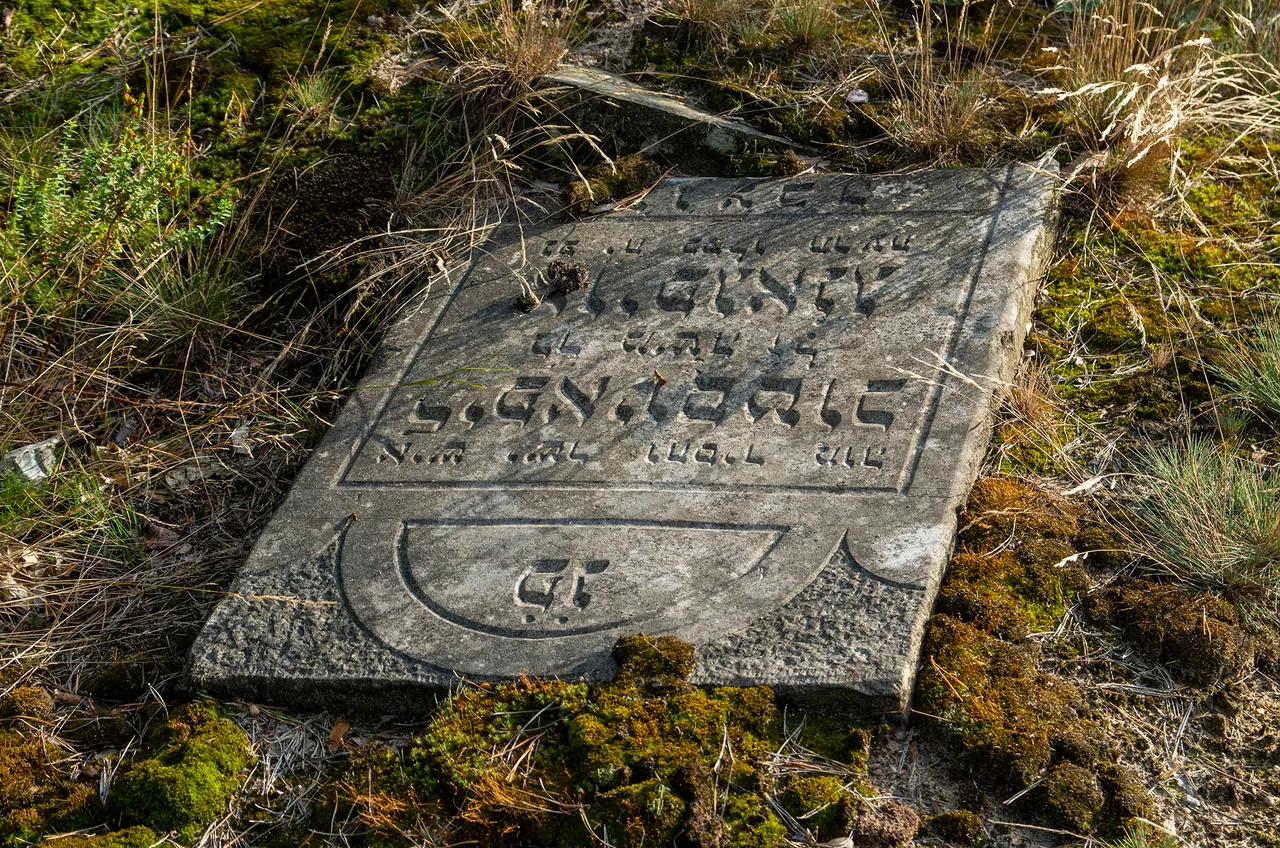 IMGP9199c.jpg