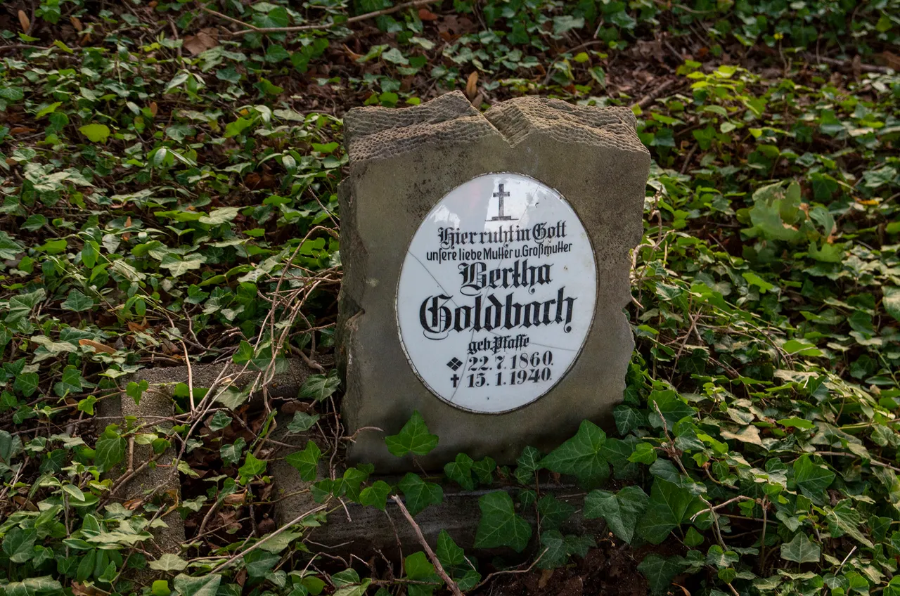 IMGP9048c.jpg