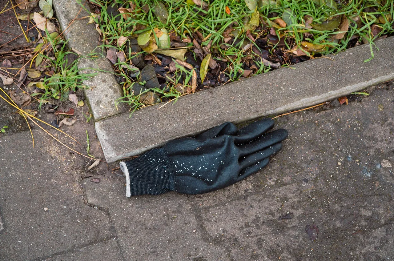 IMGP8673c.jpg
