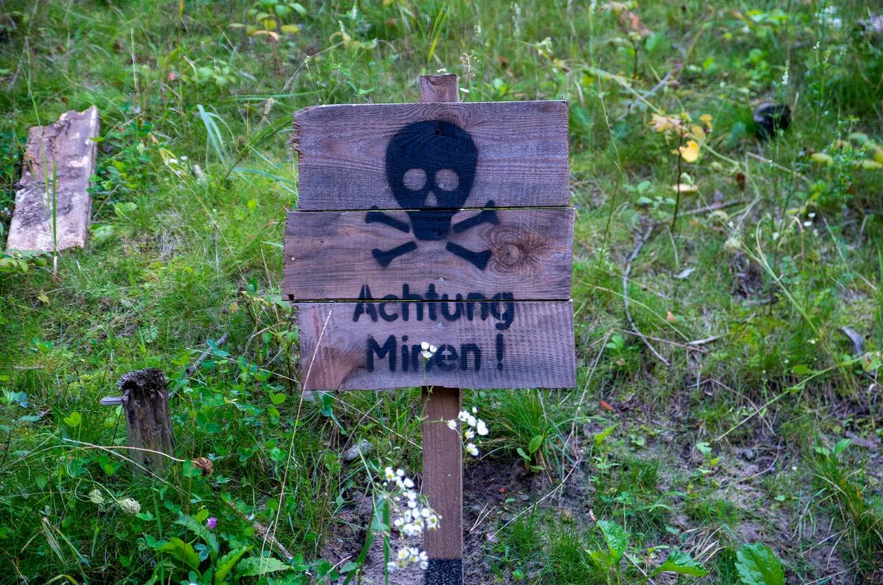 IMGP9224c.jpg