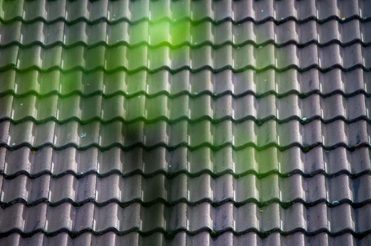 IMGP7677c.jpg
