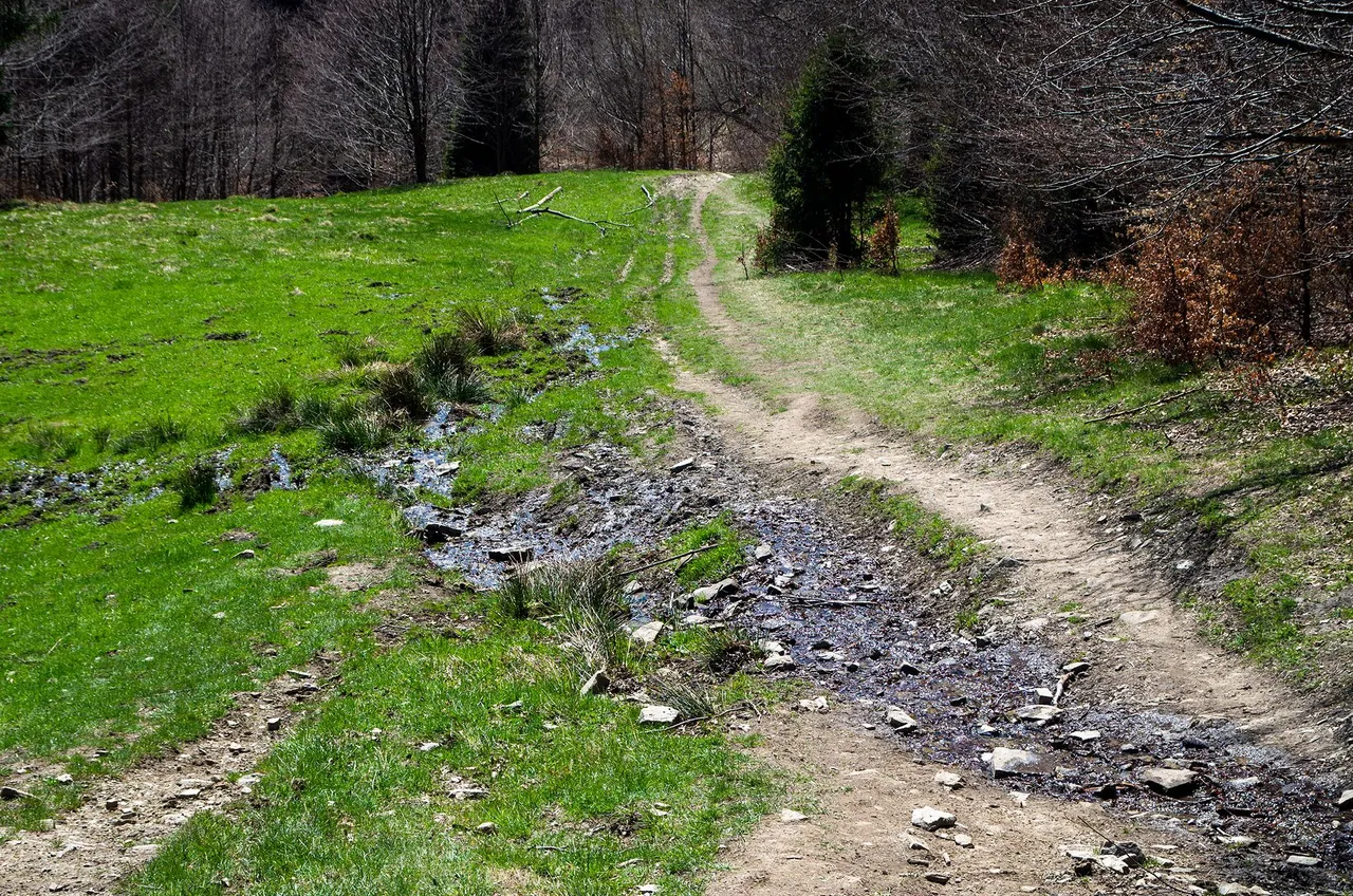 IMGP5855c.jpg