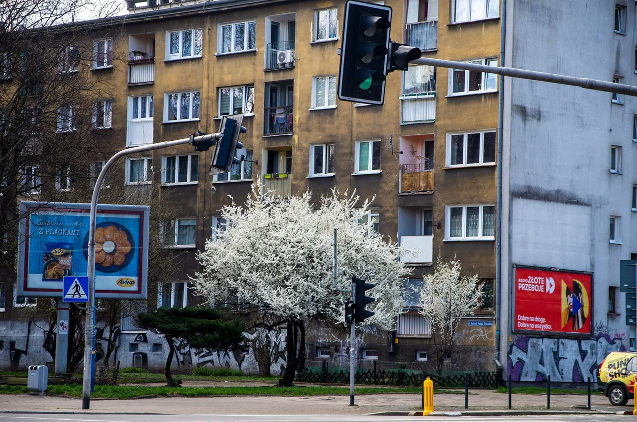 IMGP5494c.jpg