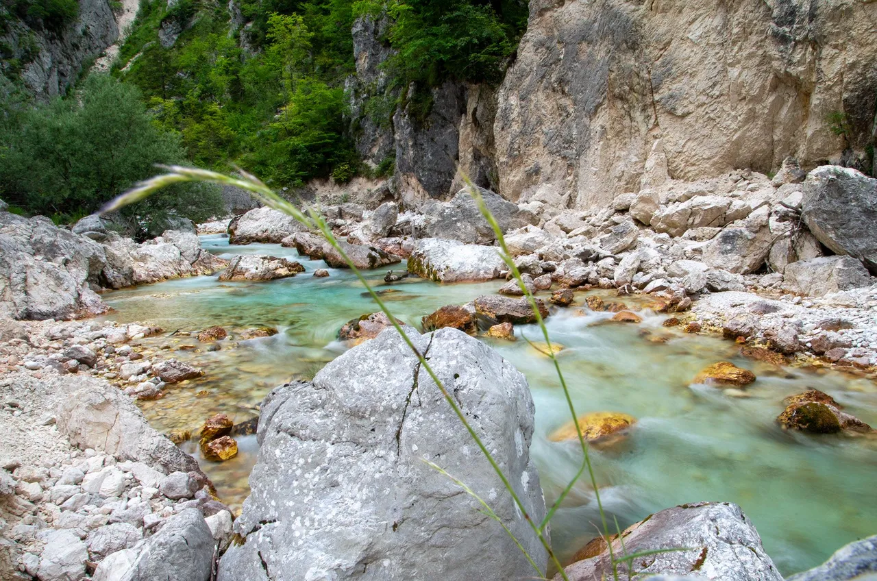 IMGP2861c.jpg