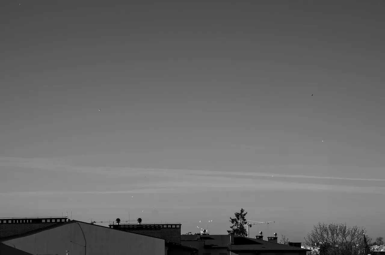 IMGP0351c.jpg